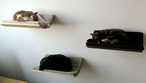 Εντυπωσιακό κρεβάτι για γάτες