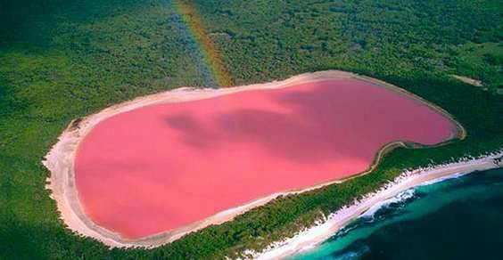 lago_hillier_pink_lake_1