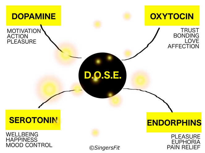 hormones,D.O.S.E., endorphins, serotonin, oxytocin, dopamine
