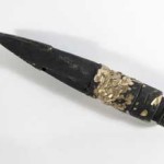 Φάλαινα μαθουσάλας