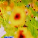 Μελέτη γύρης και ιστορικές αποκαλύψεις