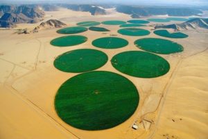 wadi-rum-farming-7[6]