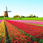 5 πράγματα που ίσως δεν γνωρίζατε για την Ολλανδία