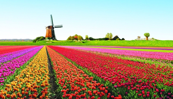 5 πράγματα που ίσως δεν γνωρίζατε για την Ολλανδία