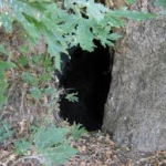 Το καταφύγιο