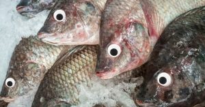 Ιχθυοπωλείο έβαζε ψεύτικα μάτια σε ψάρια για να φαίνονται φρέσκα